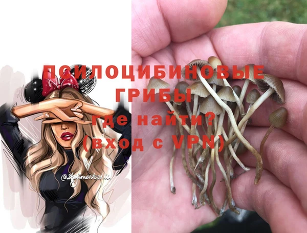а пвп мука Алексеевка