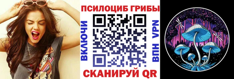 где купить наркоту  Енисейск  Галлюциногенные грибы Psilocybe 